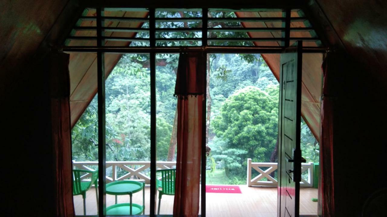 Forest Hotel Tangkahan