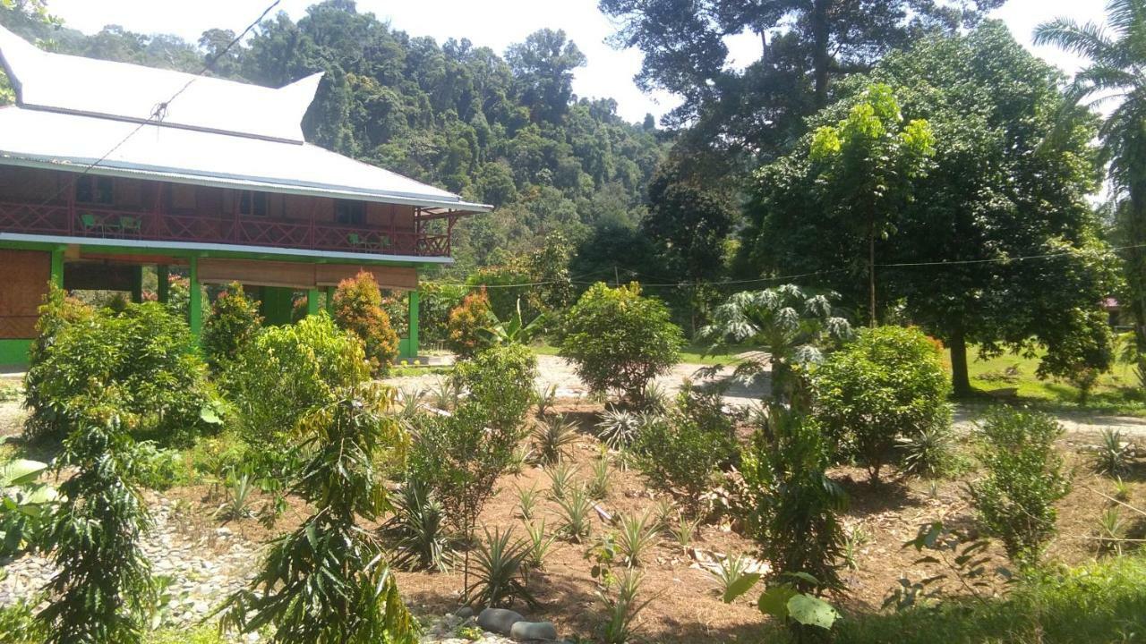 Hotel Forest Tangkahan