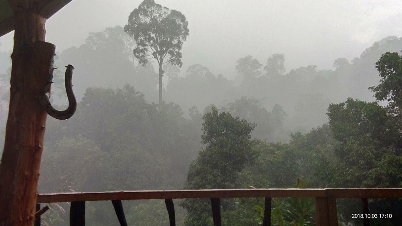 Hotel Forest Tangkahan