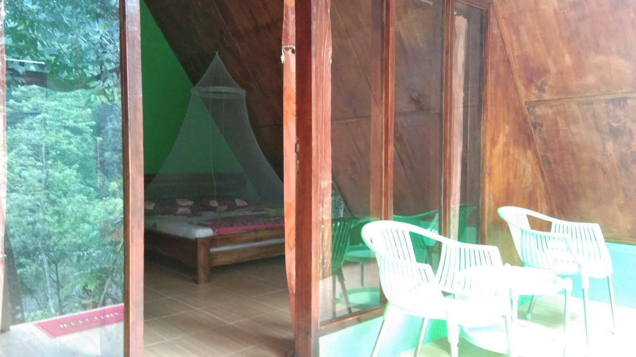 Forest Hotel Tangkahan